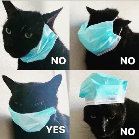 how to wear the mask