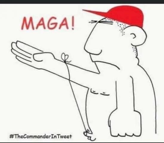 maga string to penis