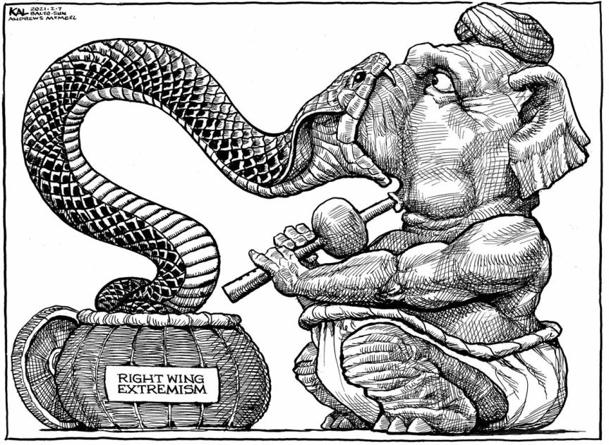 right wing extremeism