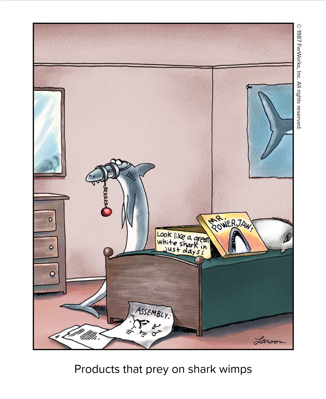 shark wimps products