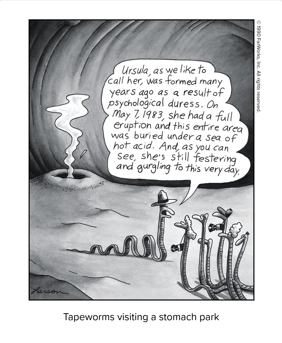 tapeworm stomach park