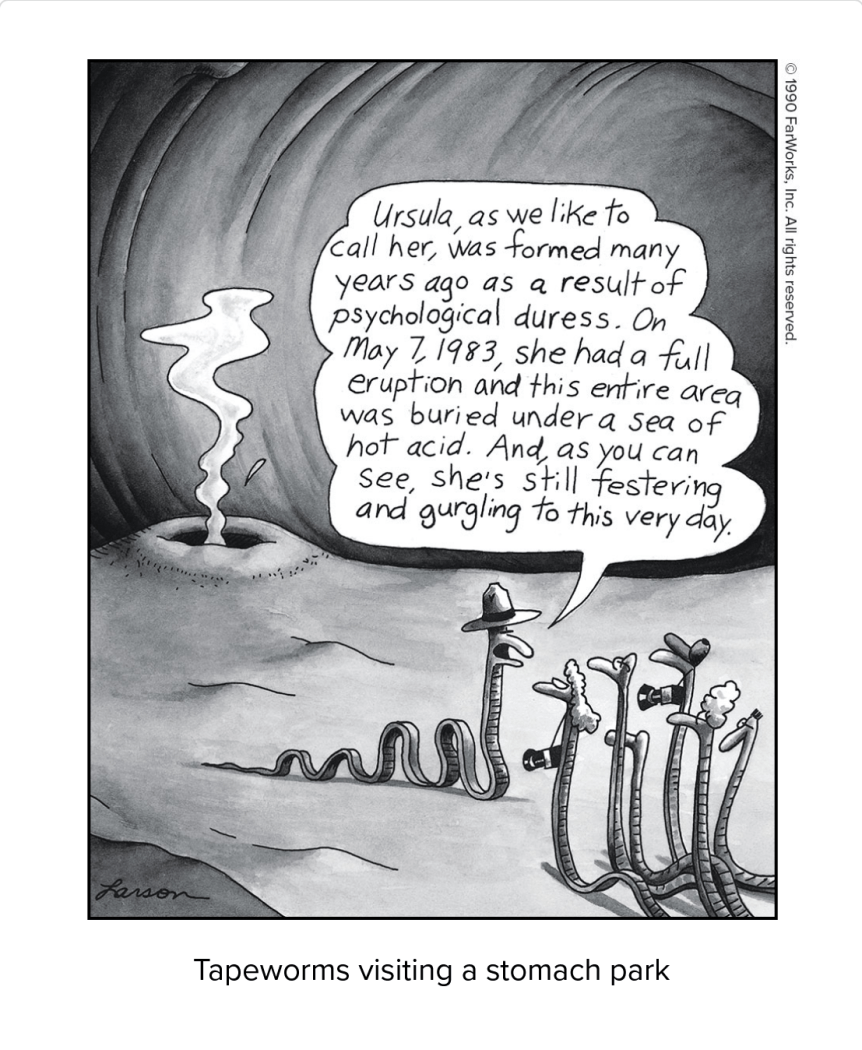 tapeworm stomach park