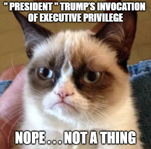 trump privilege not a thing