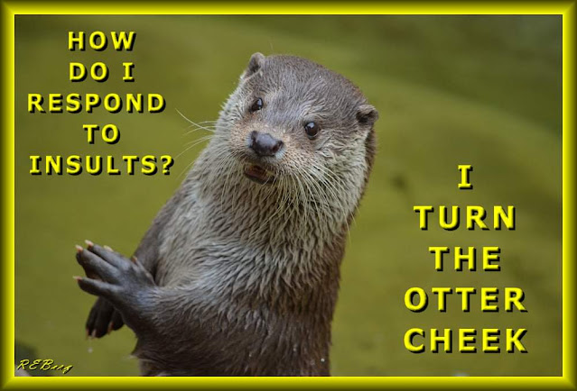 turn the otter cheek