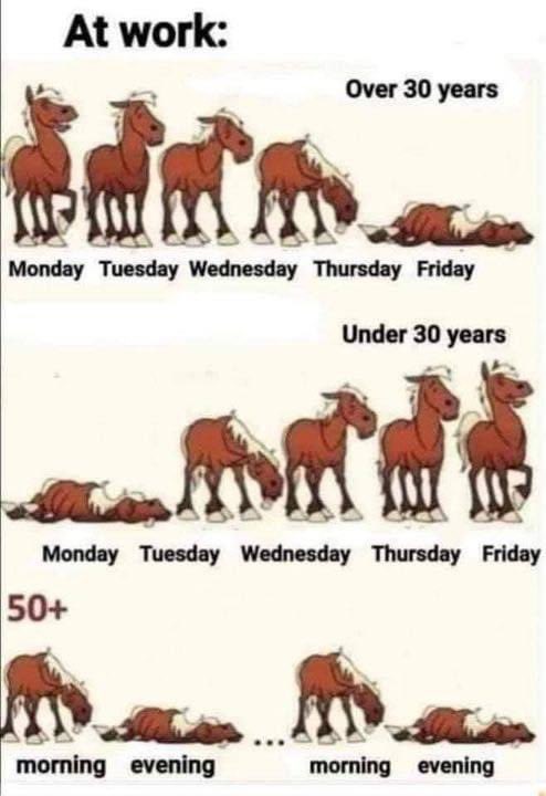 at work how do you fit