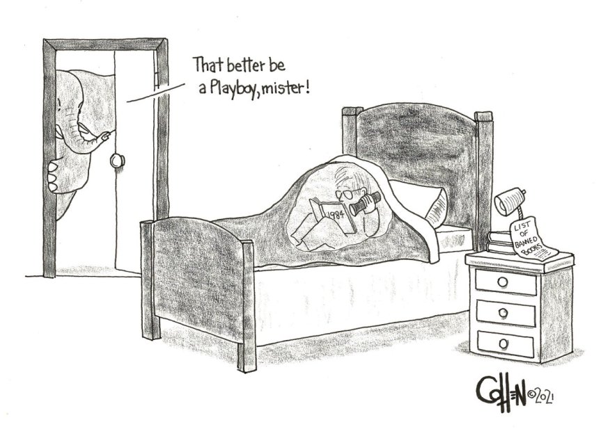 better be a playgirl