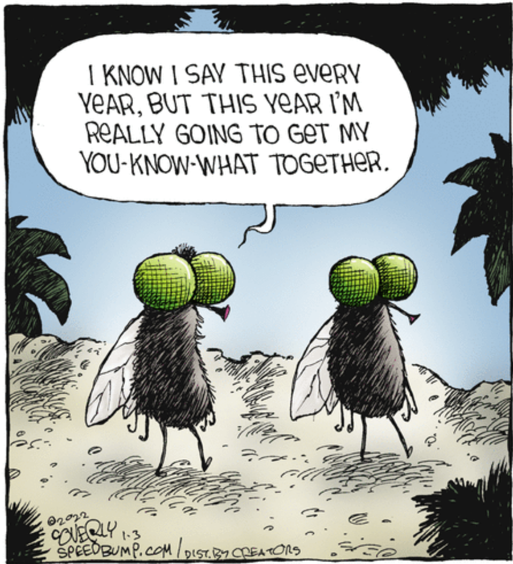 get my you-know-what together