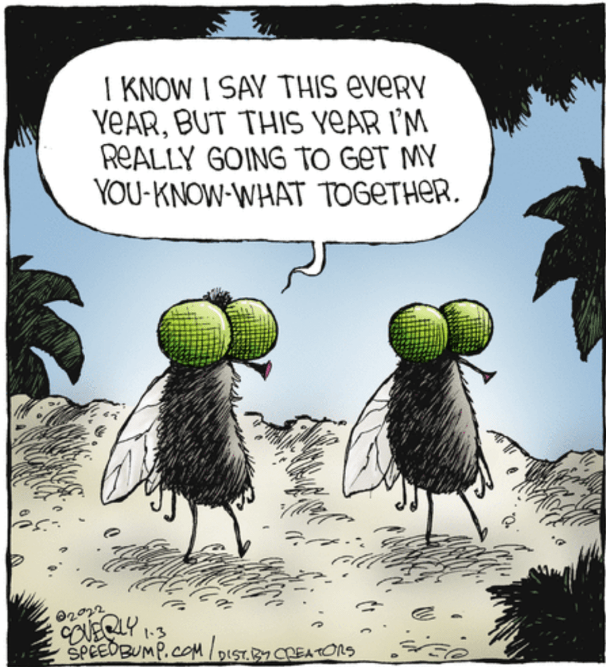 get my you-know-what together