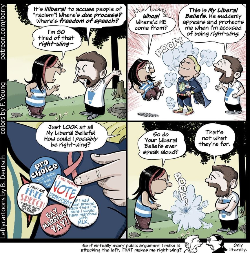 liberal belief shield