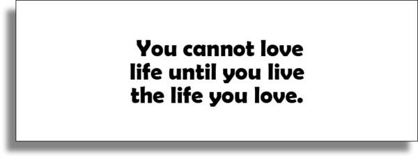 love the life you live