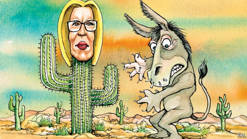 sinema catus hurts dems