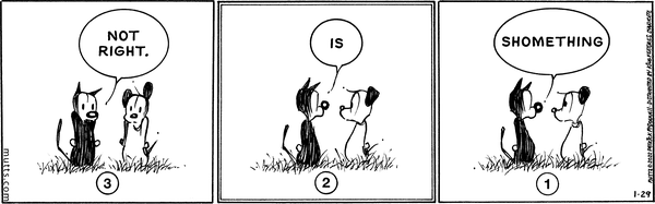 something is not right