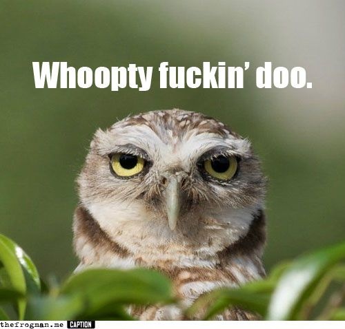 whoop di fucking doo