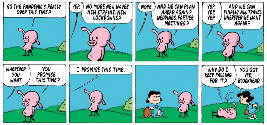 you got me blockhead