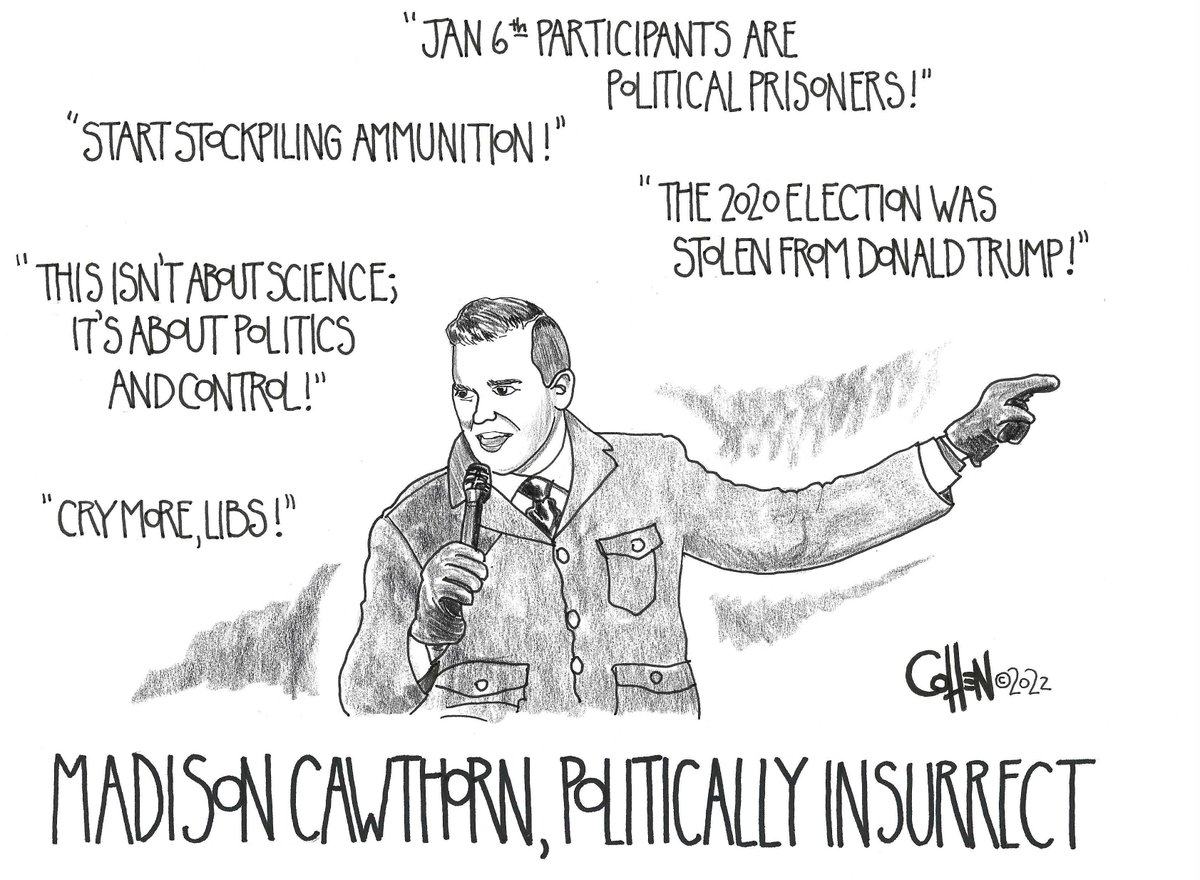 cawthorn isurrenct poltiacally