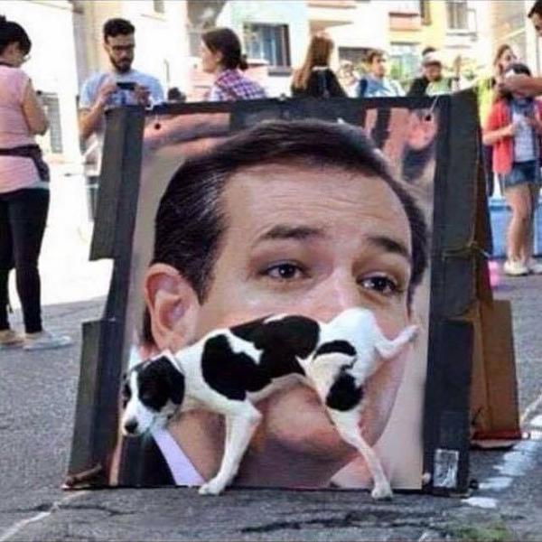 Dog peeing on cruz