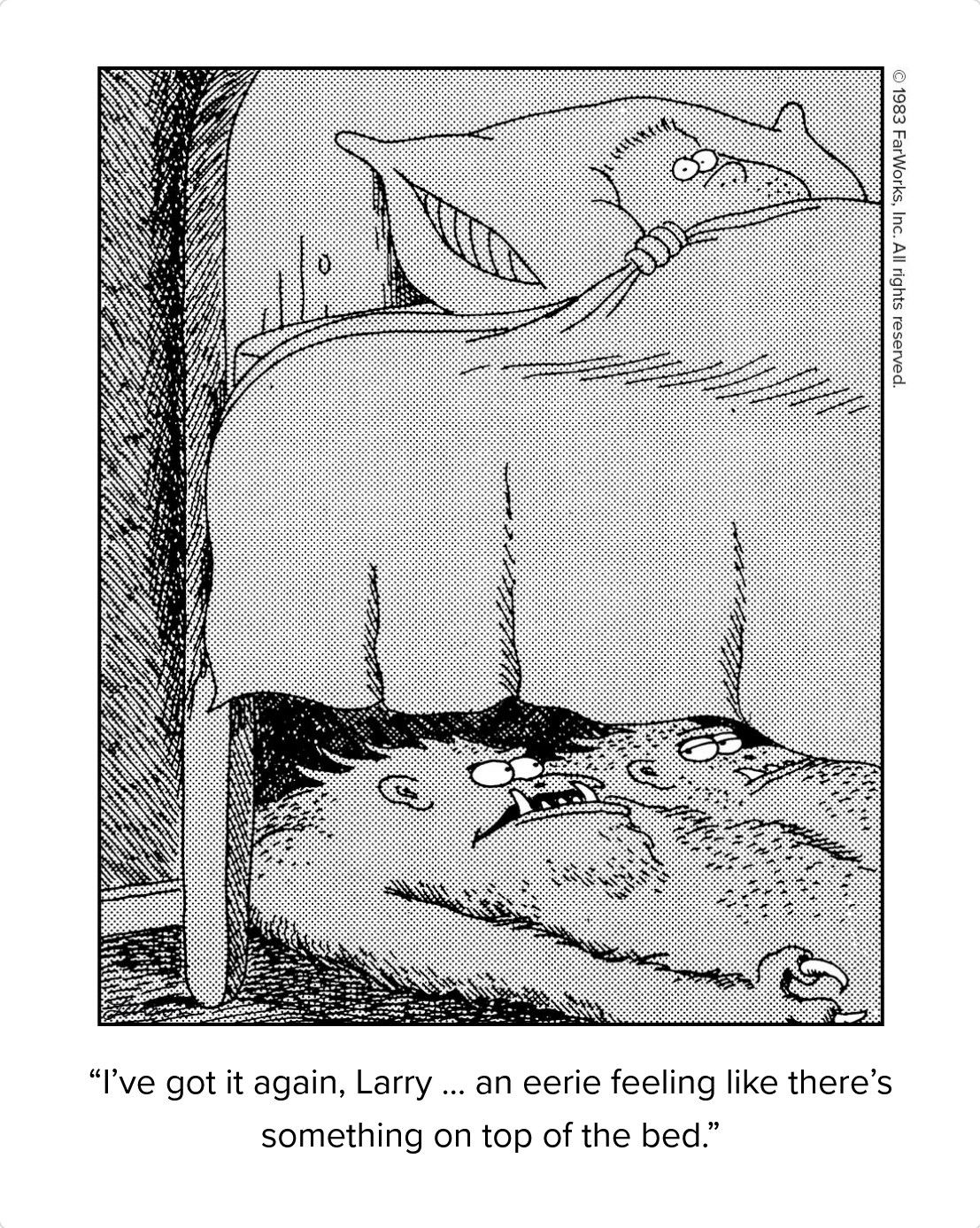 Feeling something on top of the bed