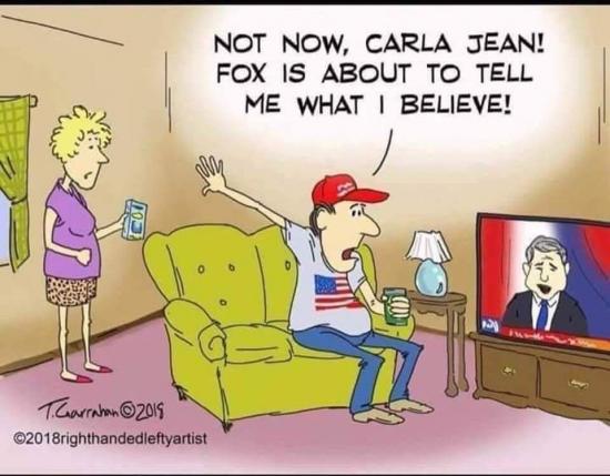 fox tells me what to beleive