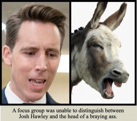 head of a braying ass