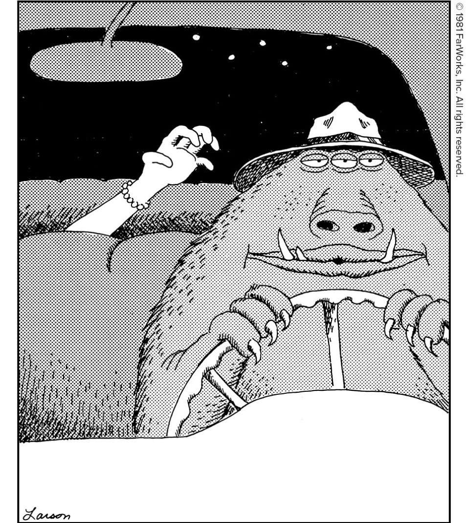 human in the back seat