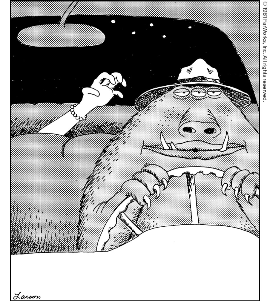 human in the back seat