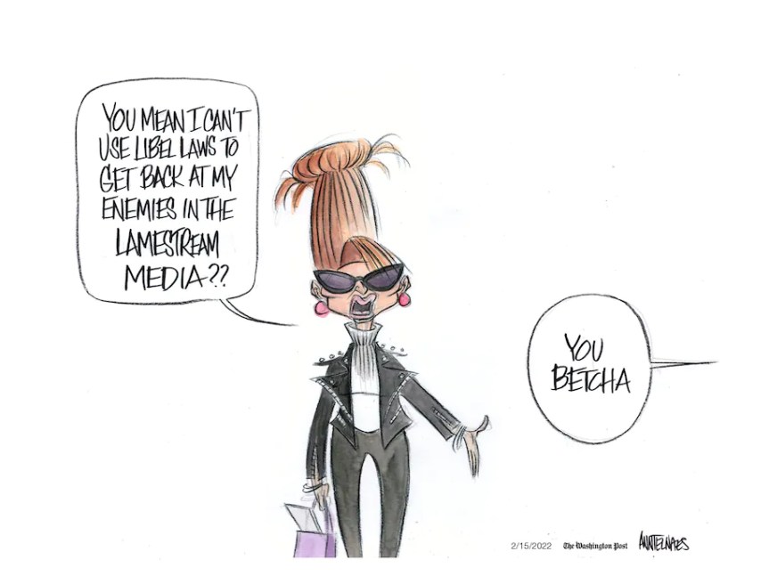 palin targets her enemies in court