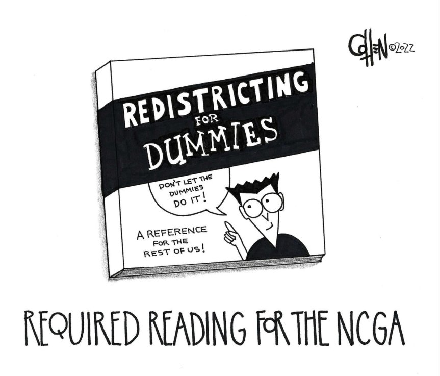 redistricting for dummies
