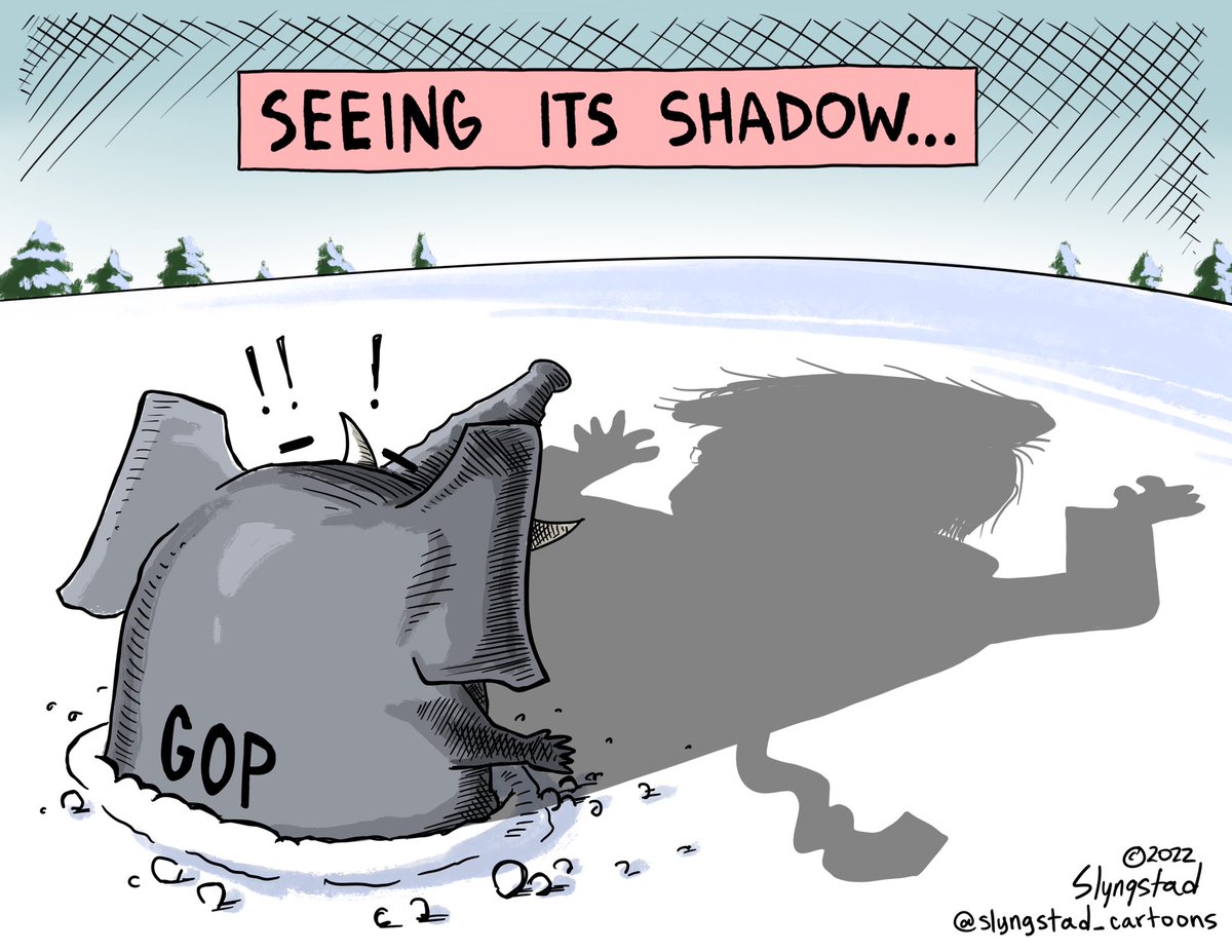 Shadow of trump scary