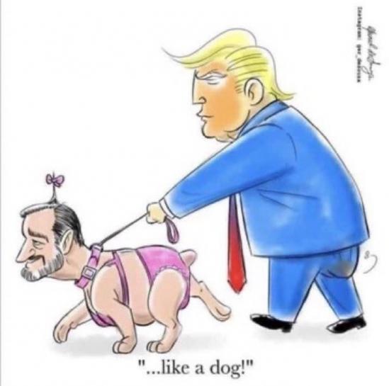 trump walks cruz dog