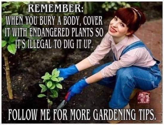 when you bury a body