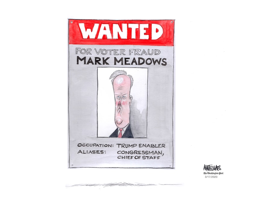 Mark meadows voter fraud