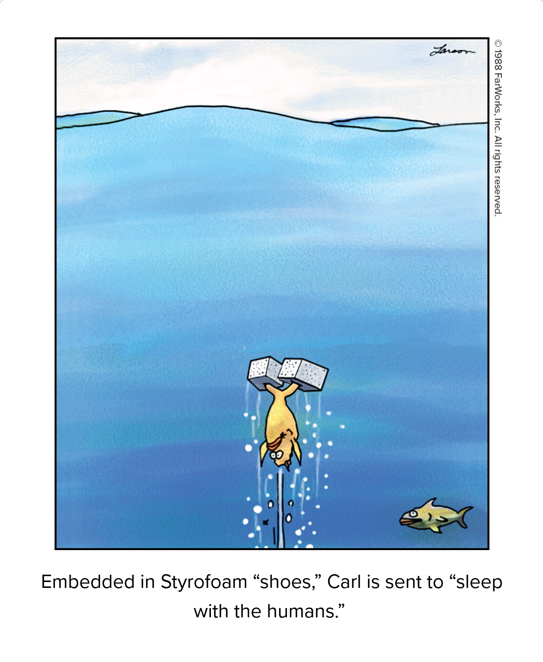 sleep with the humans