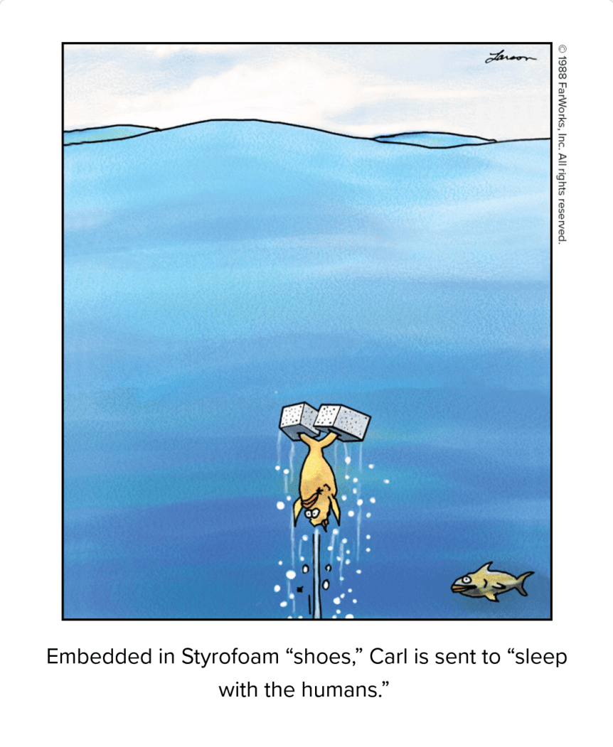 sleep with the humans