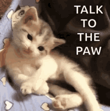 Talk to the paw