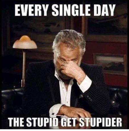 the stupid get even dumber