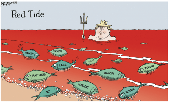 Red tide