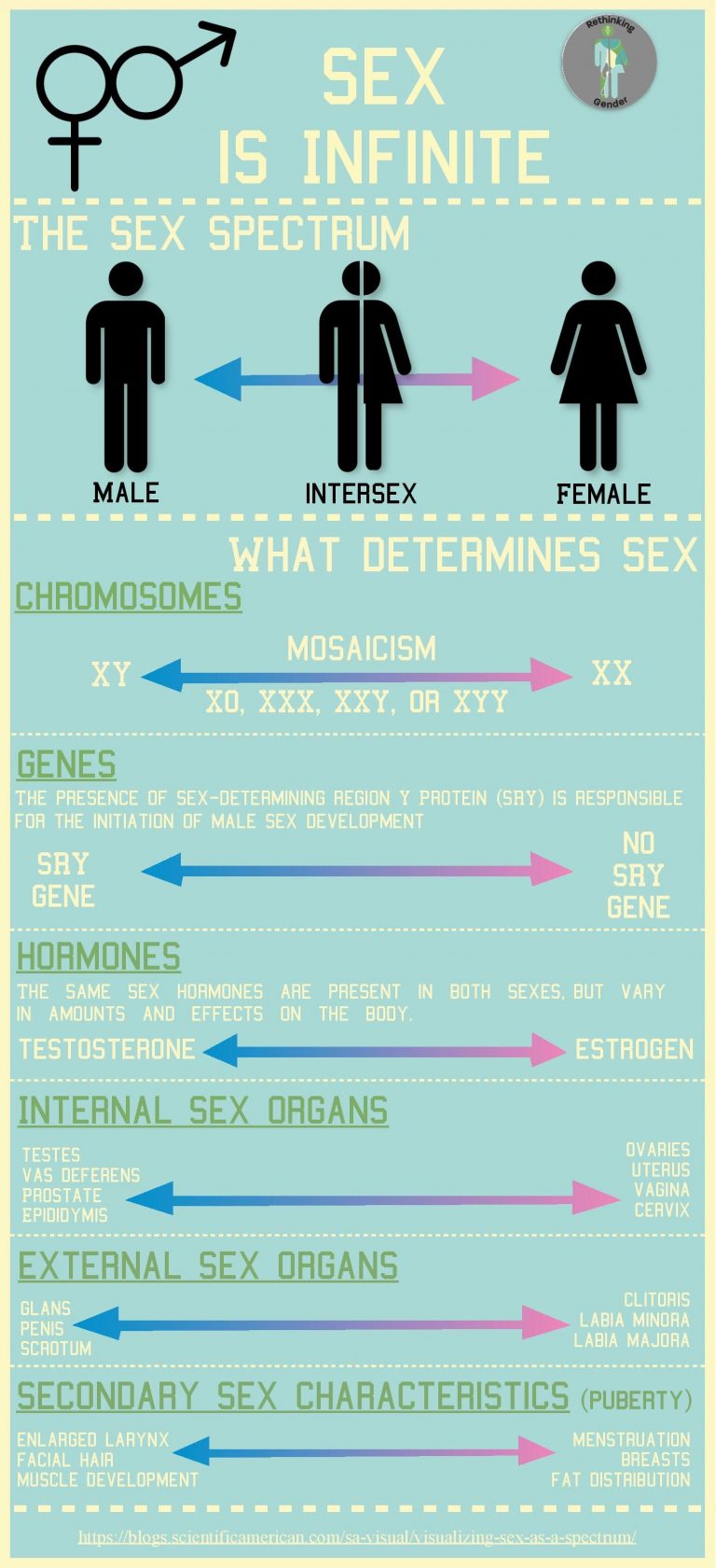Sex-if-Infinite-Infographic-Coraline--768x1680