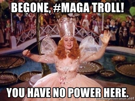 be-gone-maga-troll
